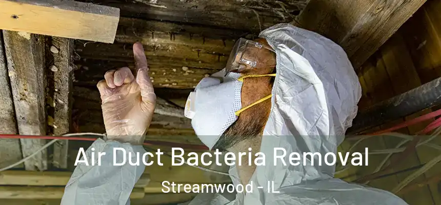 Air Duct Bacteria Removal Streamwood - IL