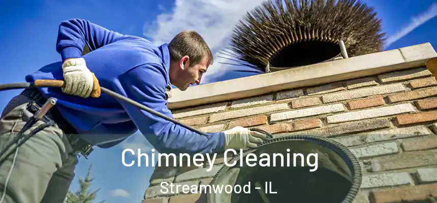  Chimney Cleaning Streamwood - IL