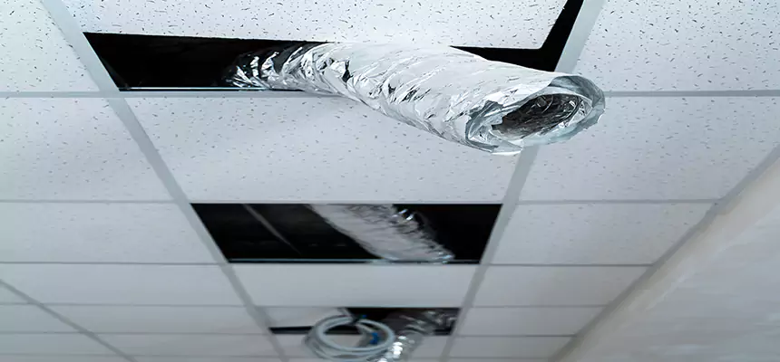 Affordable HVAC Sanitizing After Pest Removal in Streamwood