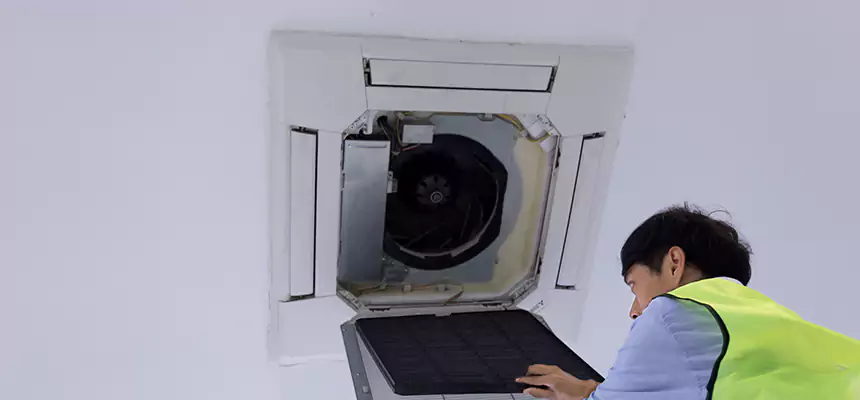 Our Dryer Vent Sanitization Service Services in Streamwood, IL