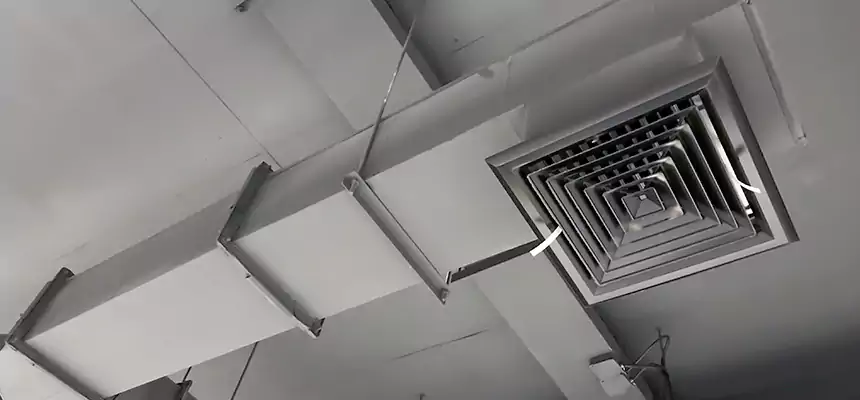 Our Rodent Droppings In Vents Services in Streamwood, IL