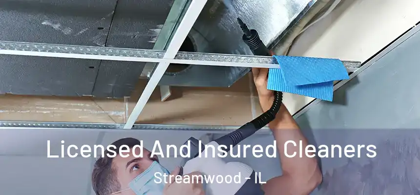  Licensed And Insured Cleaners Streamwood - IL