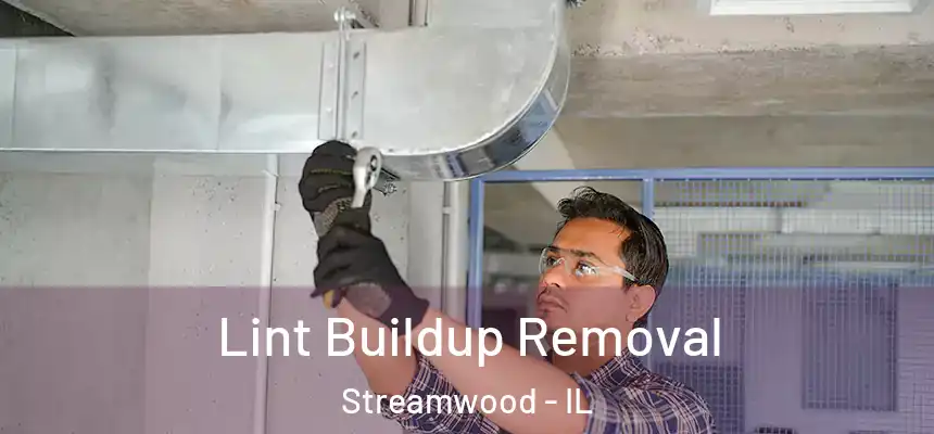  Lint Buildup Removal Streamwood - IL