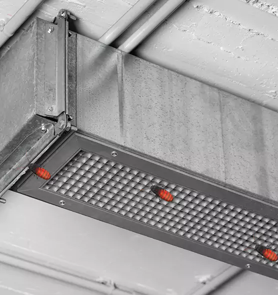 About Air Duct Cockroach Removal in Streamwood, IL