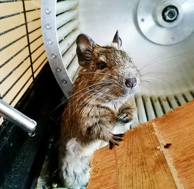 Why Homeowners & Businesses Trust Us Streamwood, IL?